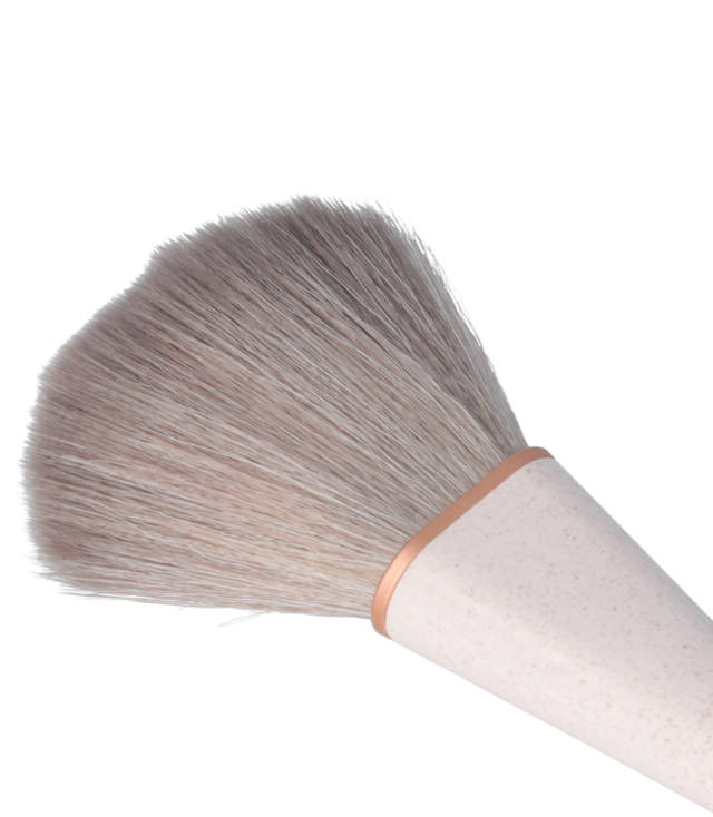 Parsa Powder Brush